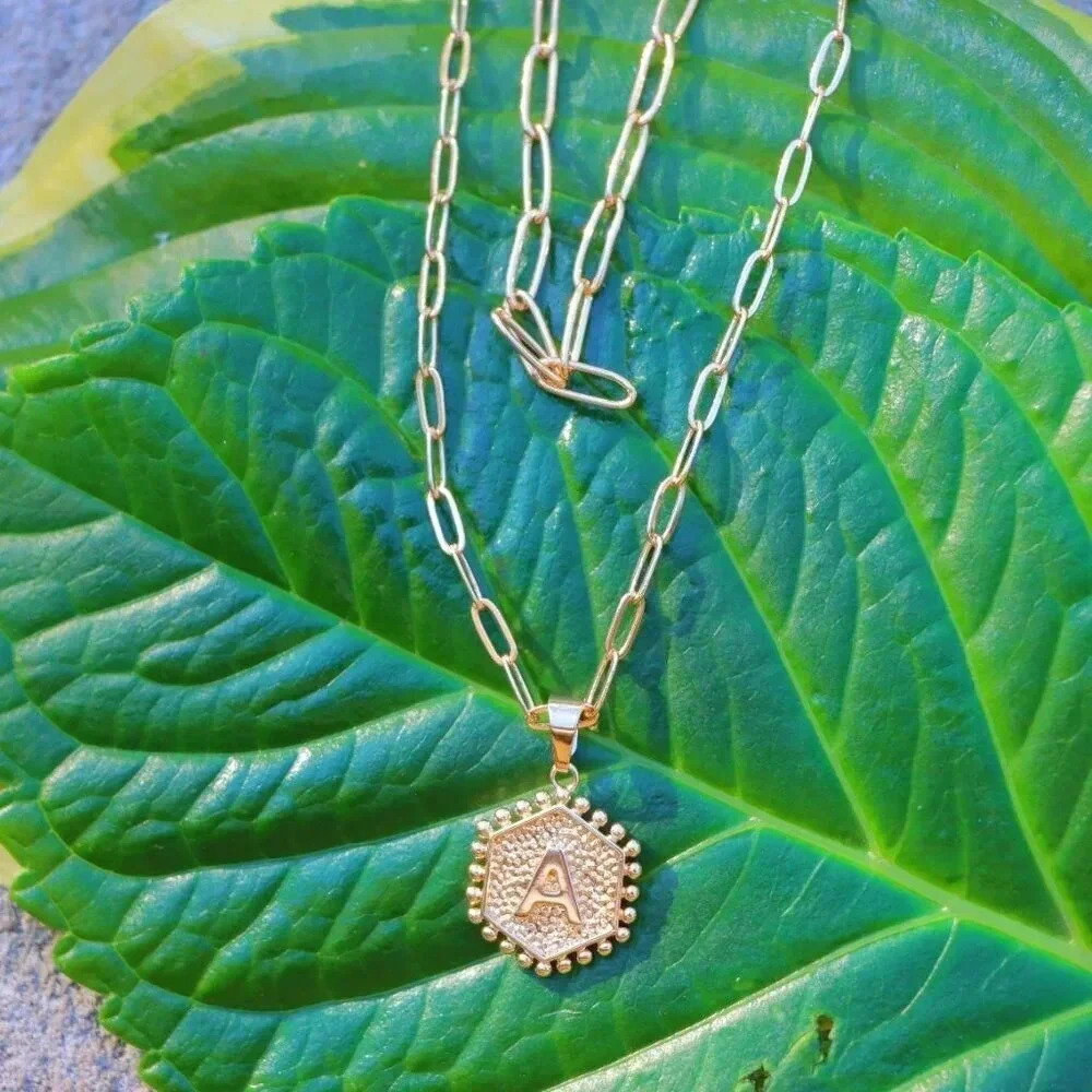 2 LAYER GOLD LETTER INITIAL COIN HEXAGONAL PENDANT DAINTY NECKLACE, ELDM22335 - Picture 10 of 13